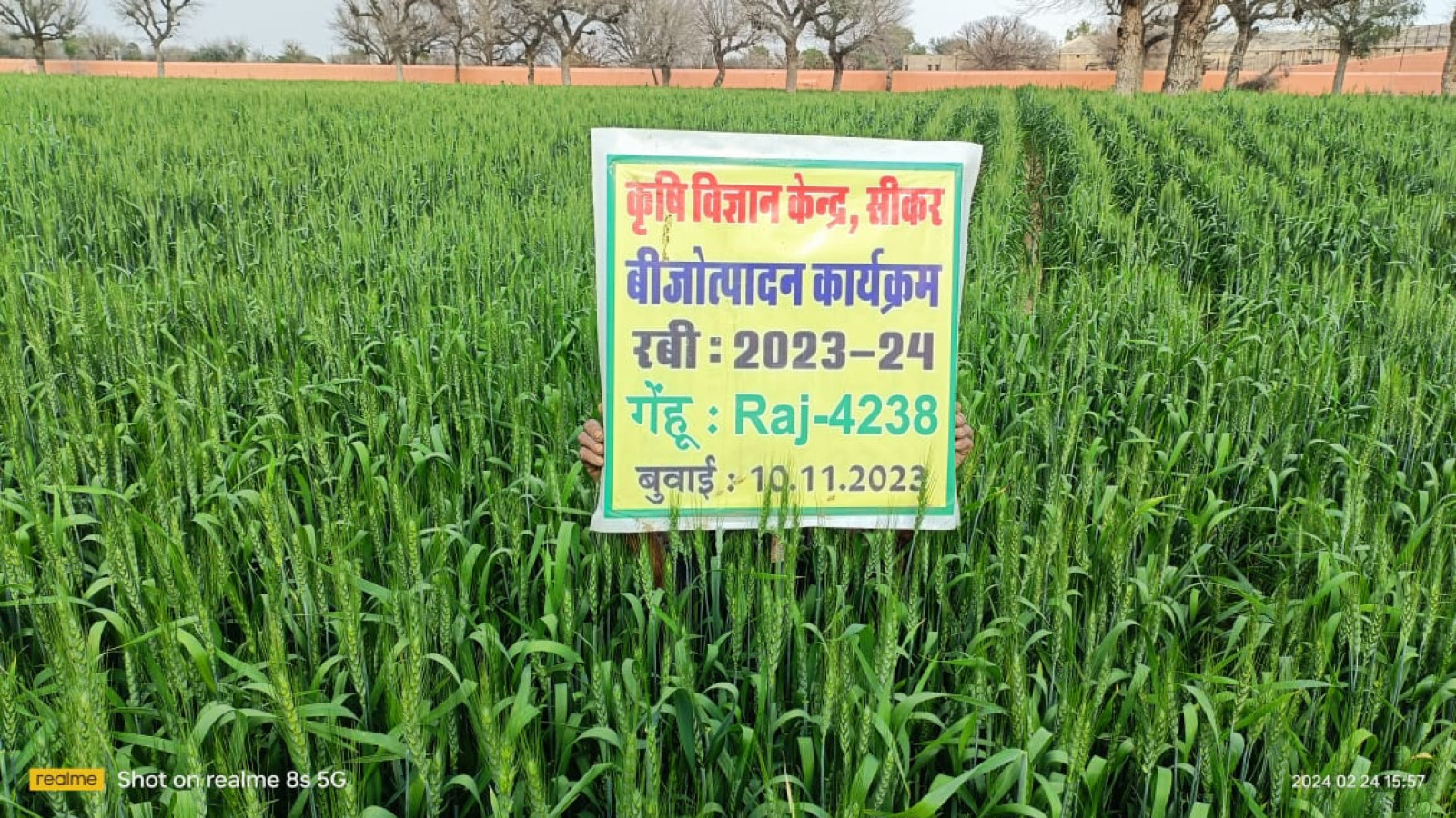 Seed production Farm
